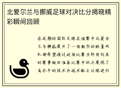 北爱尔兰与挪威足球对决比分揭晓精彩瞬间回顾